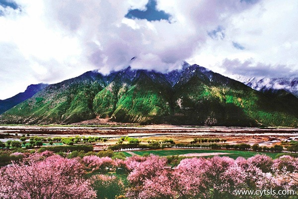 去西藏注意事項