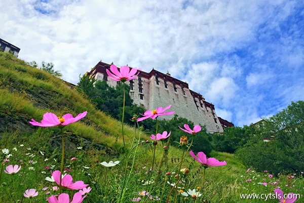 西藏旅游注意事項