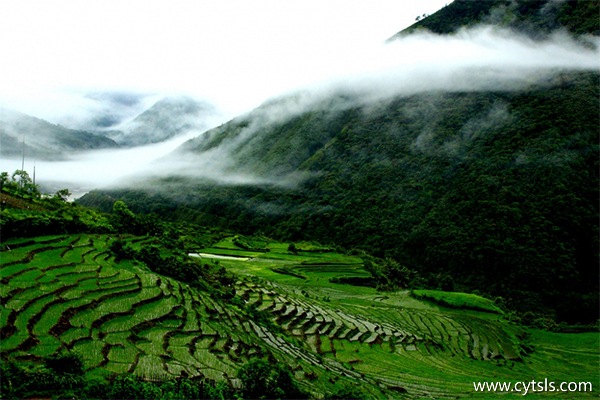 拉薩包車(chē)去林芝