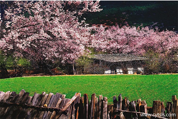 西藏旅游最適宜季節