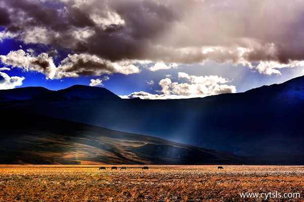 參加西藏旅游團