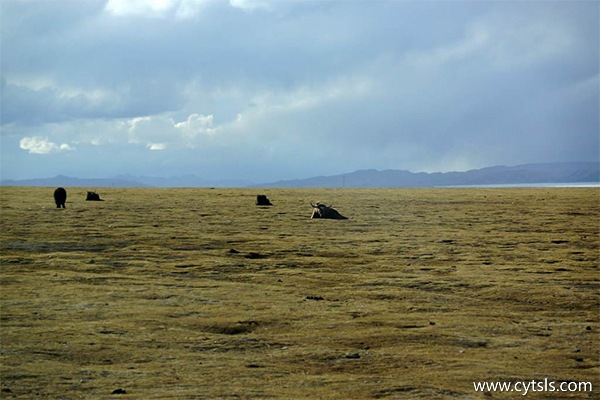 國(guó)慶去西藏旅游