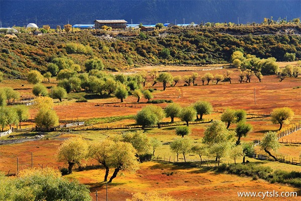 去西藏準備什么