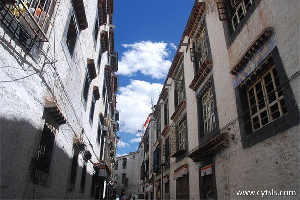 一個人去西藏跟團旅游