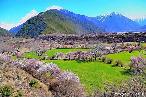西藏旅游必去景點