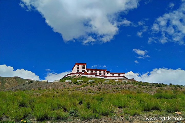 拉薩租車多少錢