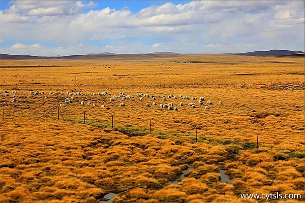 什么季節去西藏比較好