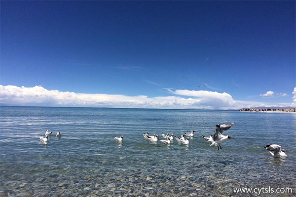 坐飛機(jī)去拉薩