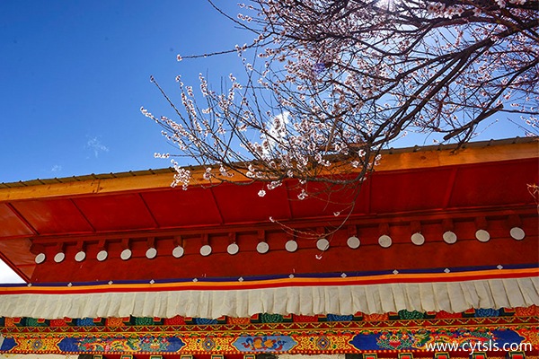 西藏品質游格子