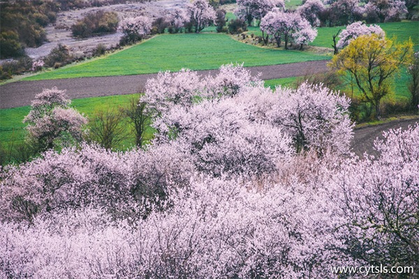 西藏四季風旅行社