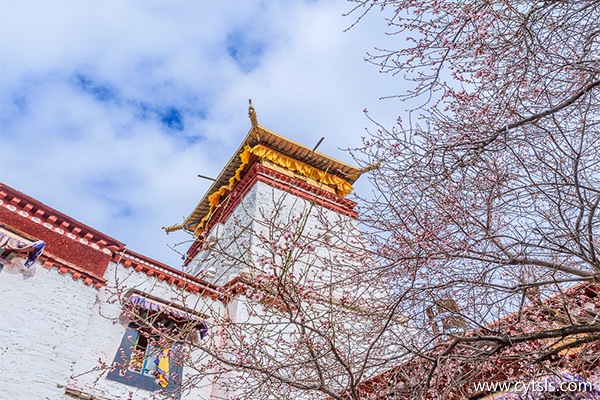 西藏旅游準備物品