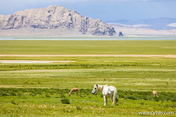 西藏旅游大概費用