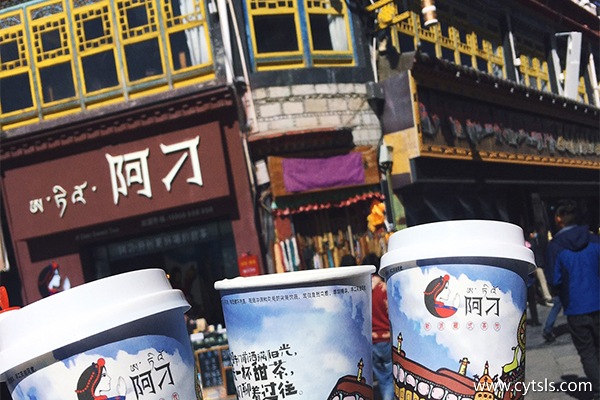 一個(gè)人去拉薩