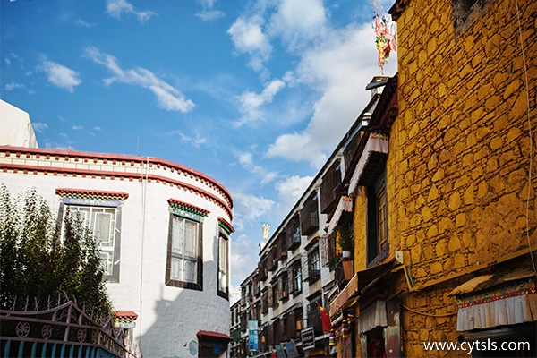 八月西藏游花費