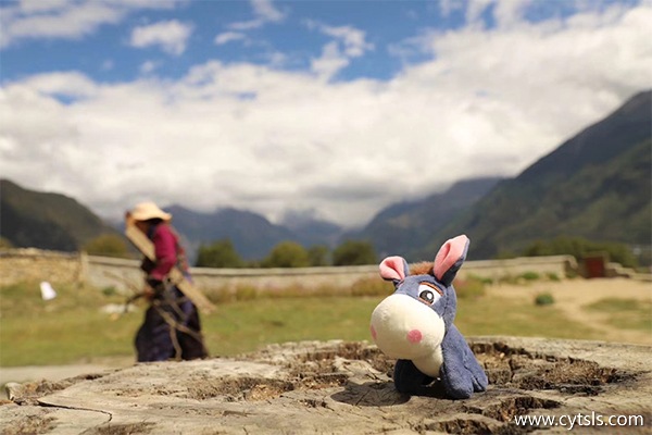 西藏旅游花費多少錢