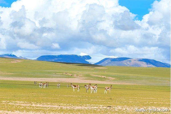 阿里地區住宿怎么樣