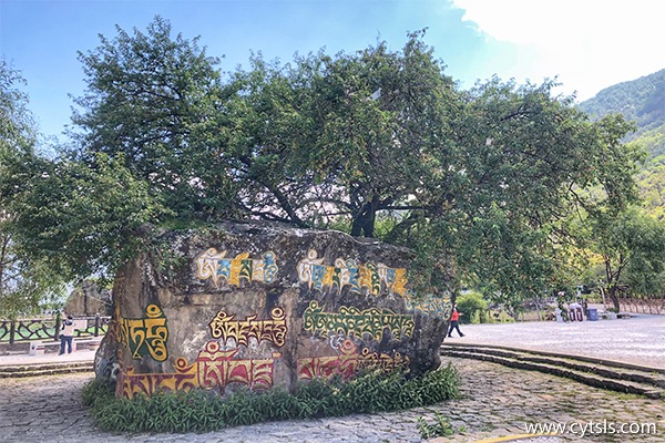 雅魯藏布大峽谷簡介