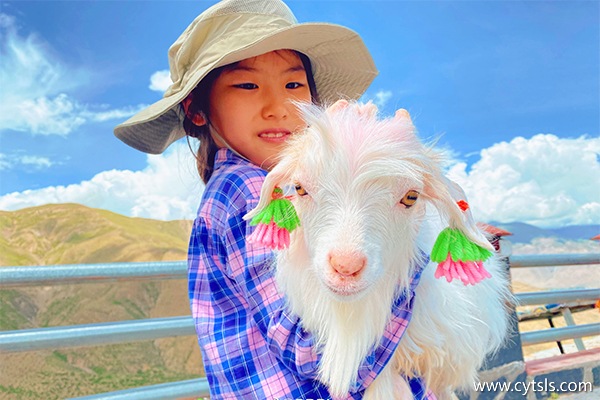 去西藏旅游需要準備什么