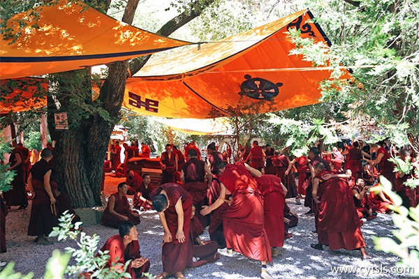 西藏旅游準備什么藥