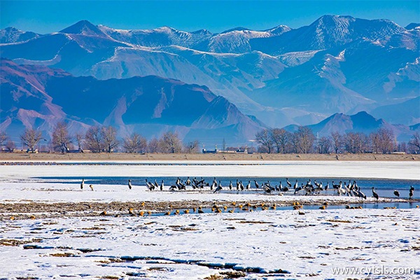 去西藏旅游最便宜
