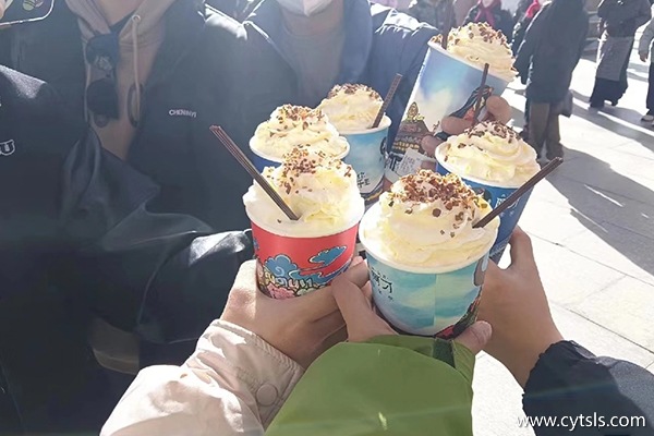 1個人西藏跟團旅游安全嗎