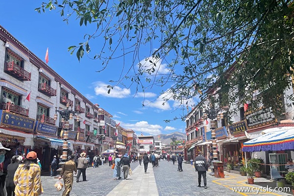 廣東東莞去西藏玩7天大概多少錢