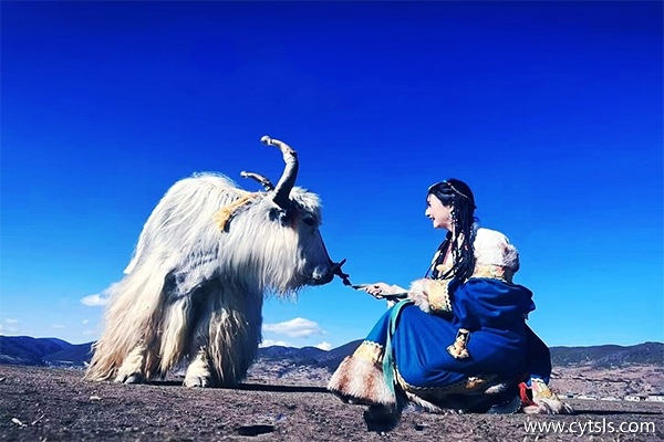 跟團在西藏旅游7天需要注意什么