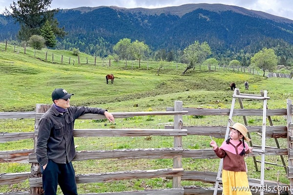 三個人去西藏旅游多少錢