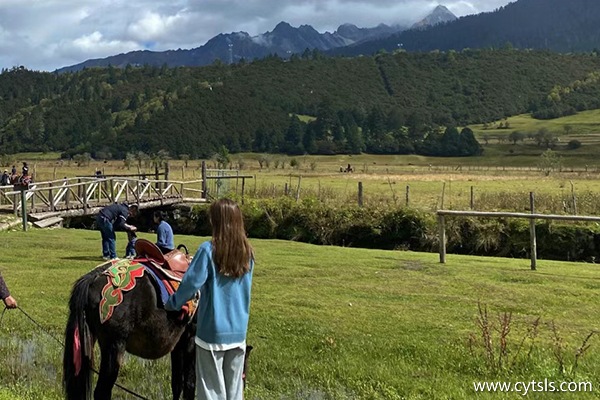 西寧去西藏跟團旅游多少錢