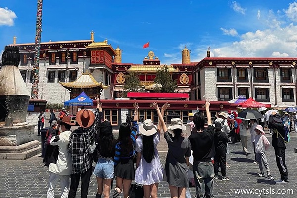 從蕪湖去西藏報團5天報價多少