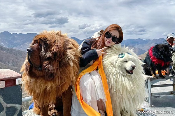 杭州到西藏報團旅游費用