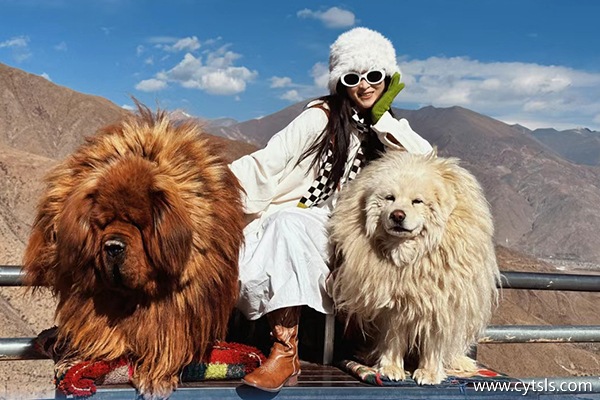 拉薩旅游一人5天多少錢