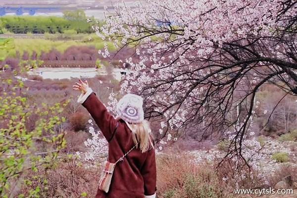 三月適合到拉薩旅游嗎