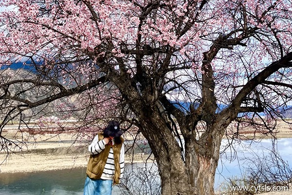 4月到西藏旅游哪里好玩