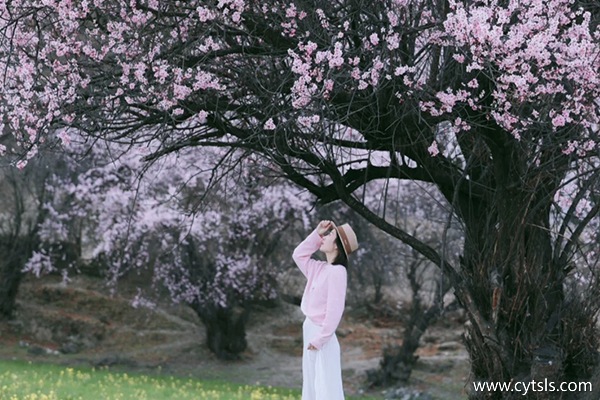 3月去拉薩林芝五日游多少錢