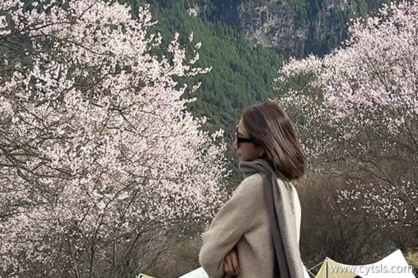 4月林芝包車大概多少錢