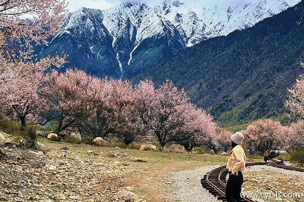 北京到西藏報(bào)團(tuán)多少錢