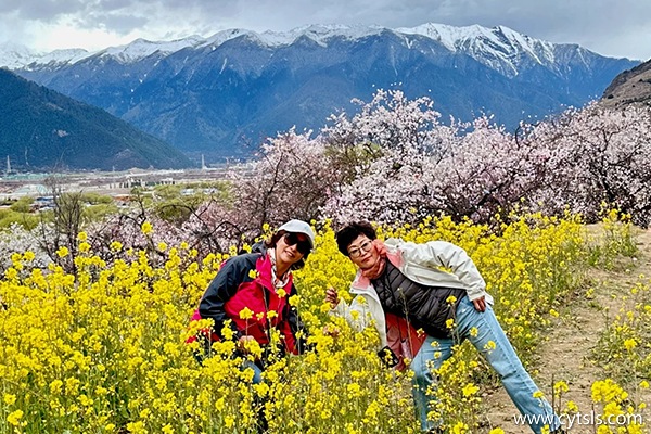 西藏跟團游大概多少錢