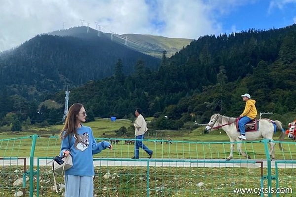 5月到西藏旅游去哪些景點玩最好