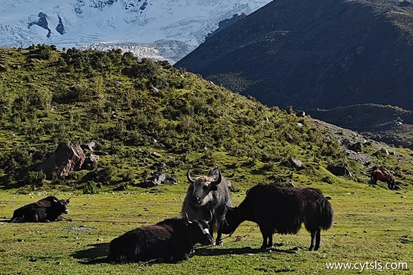 金華西藏七日游推薦景點